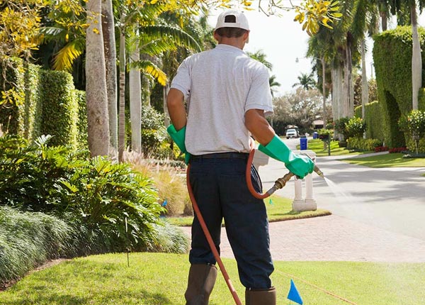 About Clearwater KS Pest Control Pros